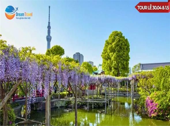 [HCM] Tour Nhật Bản Thiết Kế Lễ 30/4 Mùa Hoa Tử Đằng